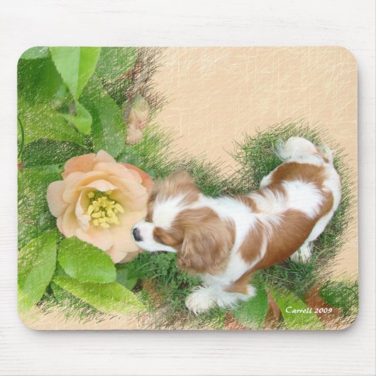 Cavalier King Charles Spaniel Muismat (Voorkant)