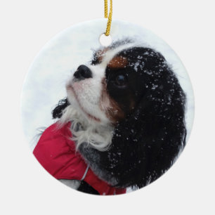 Cavalier King Charles Spaniel Noël Ornement