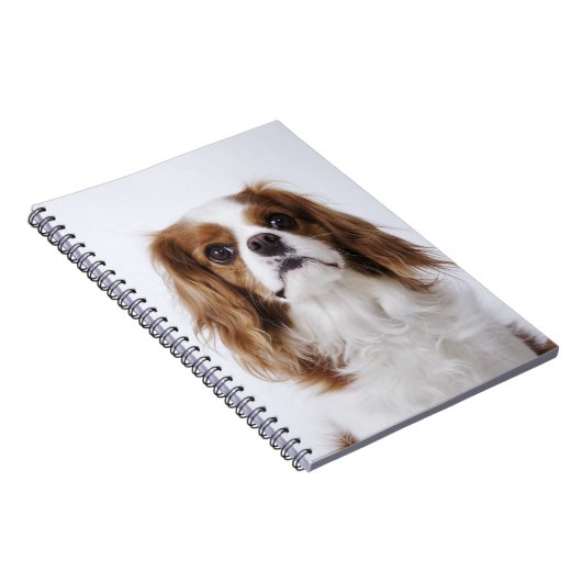 Cavalier King Charles Spaniel Notitieboek (Rechterzijde)