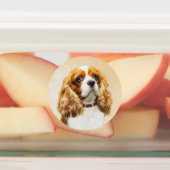 Cavalier King Charles Spaniel Original Painting Labels (Aangebracht)