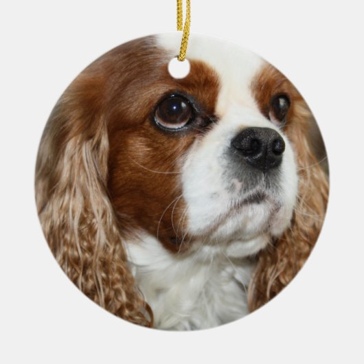 Cavalier King Charles Spaniel Ornament (Voorkant)