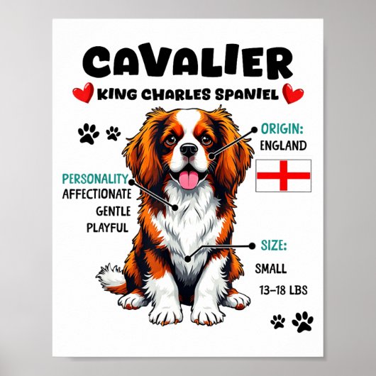Cavalier King Charles Spaniel Owner Funny Dog Love Poster (Voorkant)