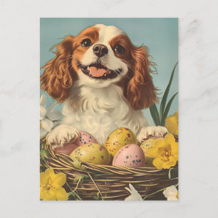 Cavalier King Charles Spaniel Pasen Briefkaart