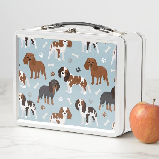 Cavalier King Charles Spaniel Paws en Botten (In situ)