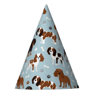 Cavalier King Charles Spaniel Paws en Botten Feesthoedjes