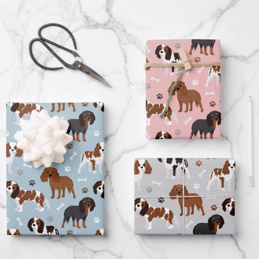 Cavalier King Charles Spaniel Paws en Botten Inpakpapier Vel (Voorkant)