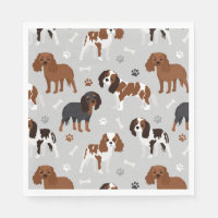 Cavalier King Charles Spaniel Paws en Botten