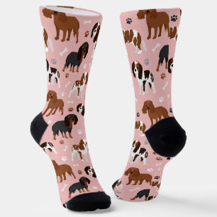 Cavalier King Charles Spaniel Paws en Botten Socks Sokken