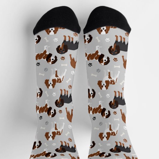 Cavalier King Charles Spaniel Paws en Botten Sokken (Top)