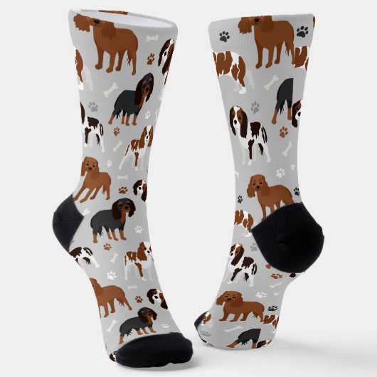 Cavalier King Charles Spaniel Paws en Botten Sokken (Gebogen)