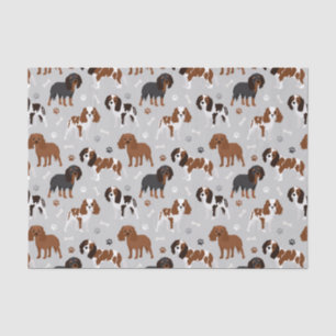 Cavalier King Charles Spaniel Paws en Botten Tissu Tissuepapier