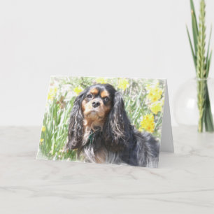 Cavalier King Charles Spaniel peint Carte de vœux 