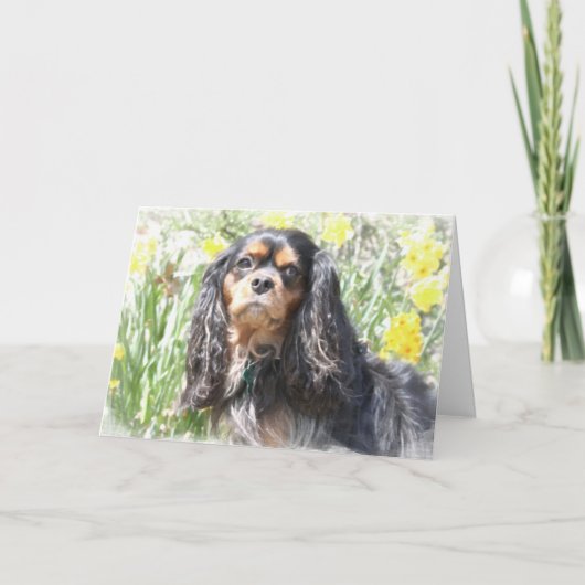 Cavalier King Charles Spaniel peint Carte de vœux (Devant)