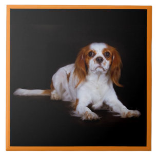 Cavalier King Charles Spaniel, Pet Love, KEEPSAKE Tegeltje