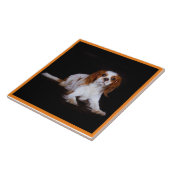 Cavalier King Charles Spaniel, Pet Love, KEEPSAKE Tegeltje (Zijkant)