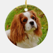 Cavalier King Charles Spaniel Pet Memorial Keramisch Ornament (Achterkant)