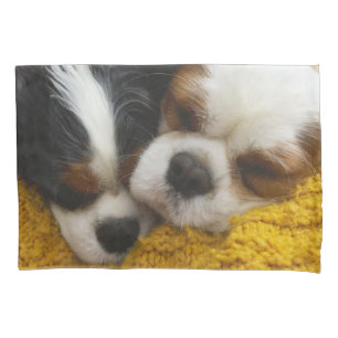Cavalier King Charles Spaniel Pillowcase Kussensloop