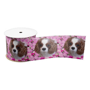 Cavalier King Charles Spaniel Pioenrozen Lint