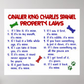 CAVALIER KING CHARLES SPANIEL PL2 POSTER (Voorkant)