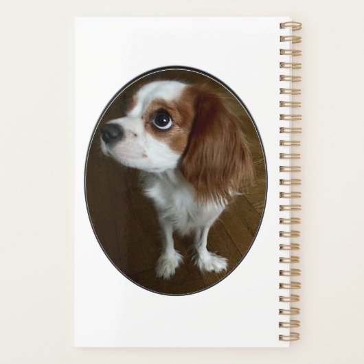 Cavalier King Charles Spaniel Planner (Achterkant)