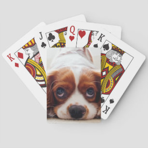 Cavalier King Charles Spaniel Pokerkaarten