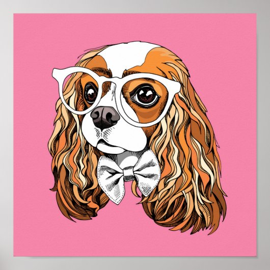 Cavalier King Charles Spaniel Portret Poster (Voorkant)