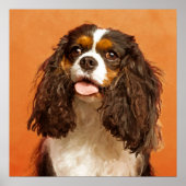Cavalier King Charles Spaniel Poster (Voorkant)