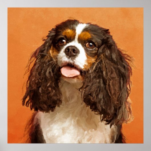 Cavalier King Charles Spaniel Poster (Voorkant)
