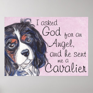 cavalier king charles spaniel poster