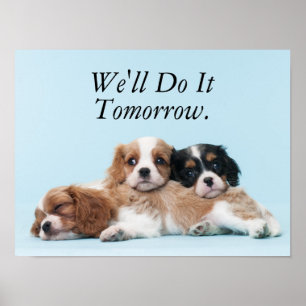 Cavalier King Charles Spaniel Puppies Poster