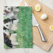 Cavalier King Charles Spaniel puppies Theedoek (Quarter Fold)