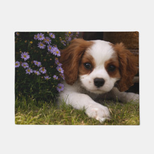 Cavalier King Charles Spaniel Puppy achter de bloe Deurmat
