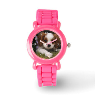 Cavalier King Charles Spaniel Puppy achter de bloe Horloge