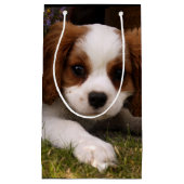 Cavalier King Charles Spaniel Puppy achter de bloe Klein Cadeauzakje (Voorkant)