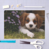 Cavalier King Charles Spaniel Puppy achter de bloe Tissuepapier (Craft)