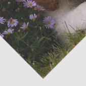 Cavalier King Charles Spaniel Puppy achter de bloe Tissuepapier (Detail)