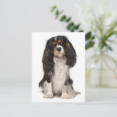 Cavalier King Charles Spaniel Puppy Dog Briefkaart (Staand voorkant)