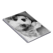 Cavalier King Charles Spaniel Puppy Dog notebook Notitieboek (Rechterzijde)