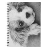 Cavalier King Charles Spaniel Puppy Dog notebook Notitieboek (Voorkant)