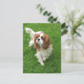 Cavalier King Charles Spaniel Puppy Dog Post Card Briefkaart (Staand voorkant)