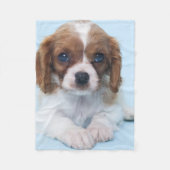 Cavalier King Charles Spaniel Puppy Fleece Deken (Voorkant)