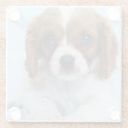 Cavalier King Charles Spaniel Puppy Glazen Onderzetter (Achterkant)