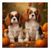 Cavalier King Charles Spaniel Puppy Herfst Pompoen Perfect Poster (Voorkant)