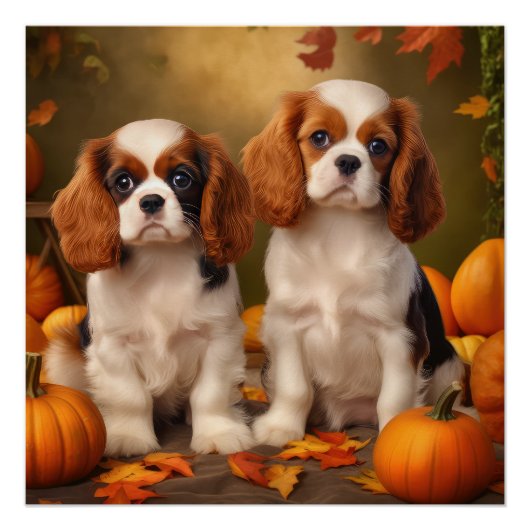 Cavalier King Charles Spaniel Puppy Herfst Pompoen Perfect Poster (Voorkant)
