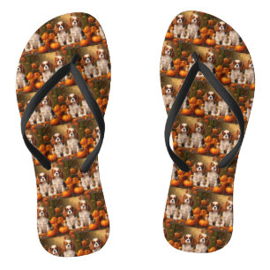Cavalier King Charles Spaniel Puppy Herfst Pompoen Teenslippers