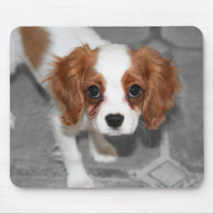 Cavalier King Charles Spaniel Puppy Muismat