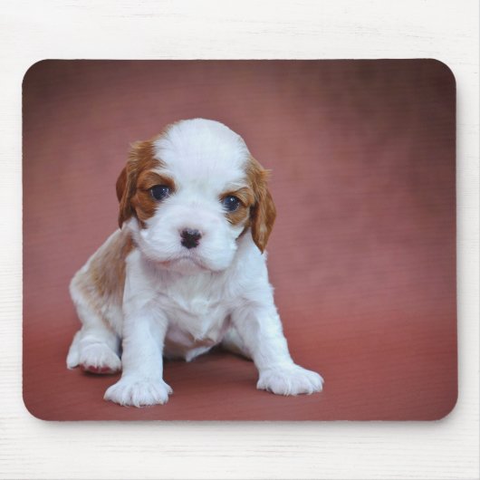 Cavalier King Charles Spaniel puppy Muismat (Voorkant)