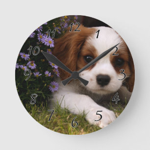 Cavalier King Charles Spaniel Puppy na bloemen Ronde Klok