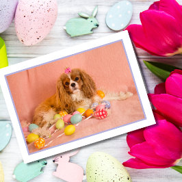 Cavalier King Charles Spaniel Puppy Pasen Kaart