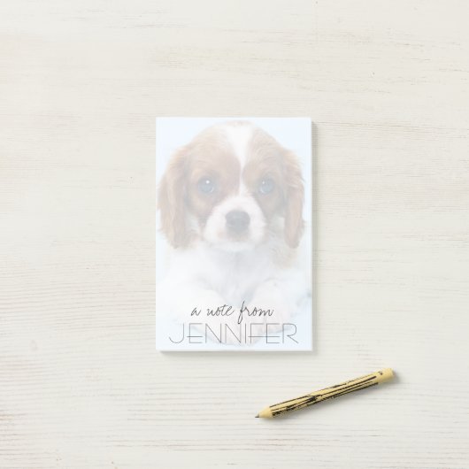 Cavalier King Charles Spaniel Puppy Post-it® Notes (Op bureau)